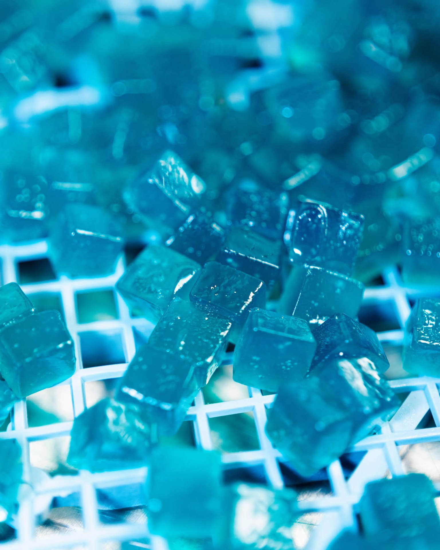 Delta-9 hash rosin gummies — photo 1